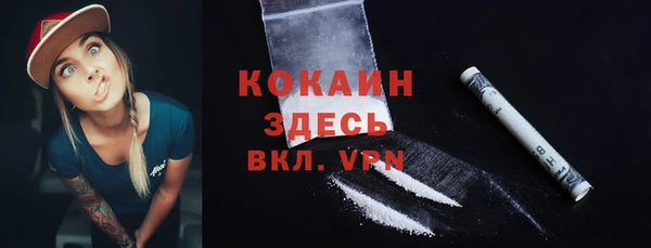 spice Богородск