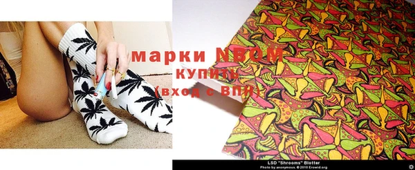 spice Богородск