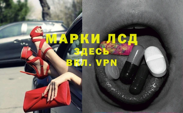 spice Богородск