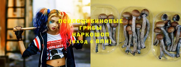кристаллы Богородицк