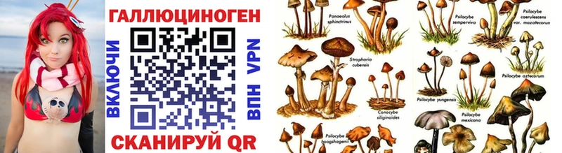 наркошоп  Тулун  Галлюциногенные грибы Psilocybine cubensis 